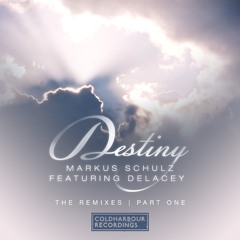 Markus Schulz feat. Delacey - Destiny (Art Alive Remix)