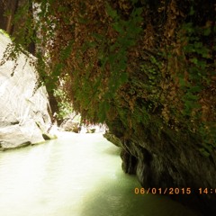 Virgin River Hanging Garden Soundscape