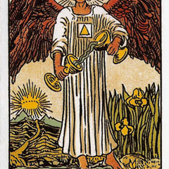 7- El espacio interior