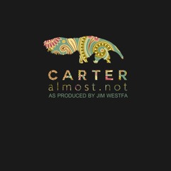 Carter - Almost.not