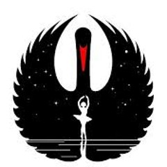 Lac_des_cygnes___rock style