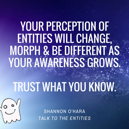 Entity Awareness Exercise