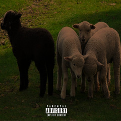 Black Sheep (feat. Yung God)