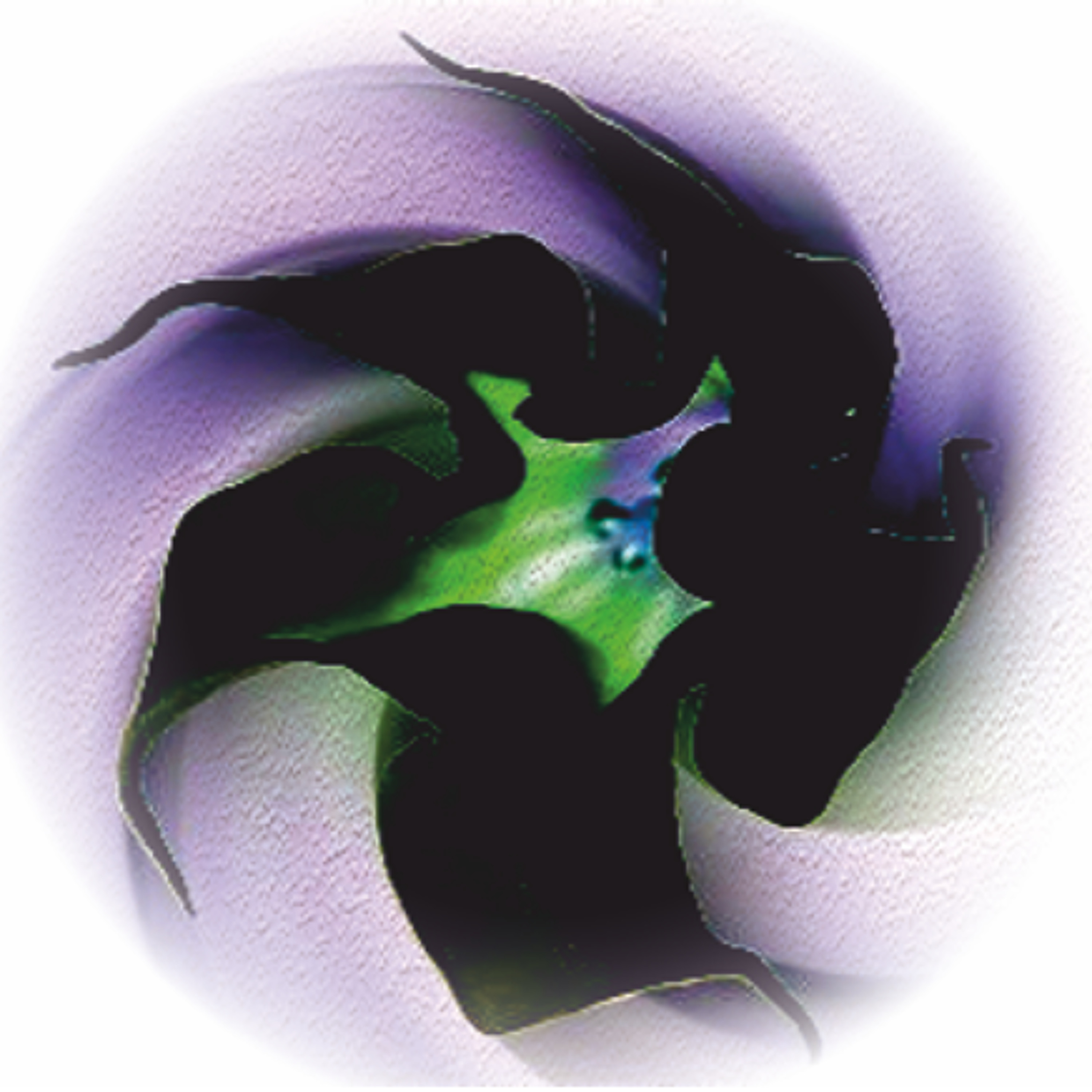 NightShade episode artwork