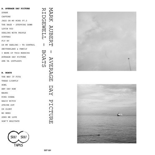 Mark Aubert - Fly By
