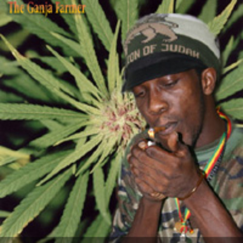 Marlon Asher - Ganjah Farmer