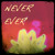 Artwork for NEVER EVER