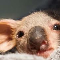 Drum and Paste - Free Download!