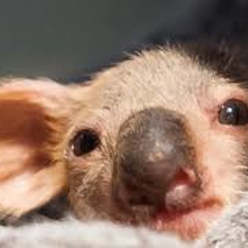 Drum and Paste - Free Download!