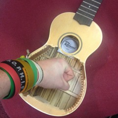 Austerity Pleasures Master (demo 2014)