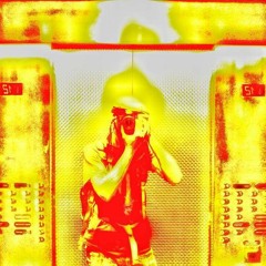 You Ain't Never Gonna Catch no Rabbit