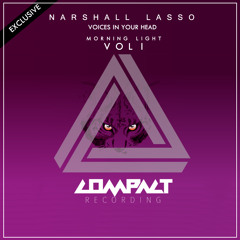Narshall Lasso - Voices In Your Head (Original Mix)