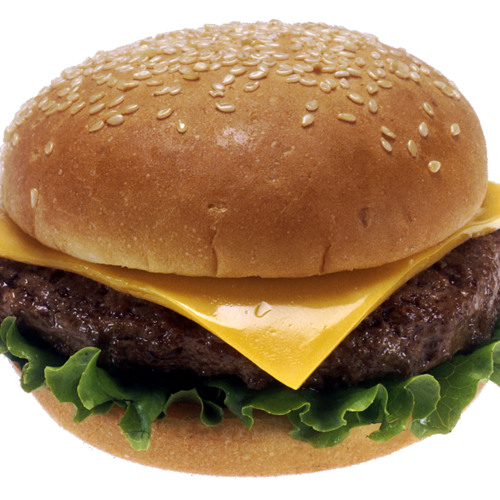 Just Bought A Hamburger