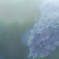 EVISBEATS Feat. IttoMV蛍 (ほたる)