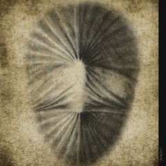 Ortniavis_The Down Troddence