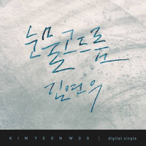 [cover] Kim Yeon Woo- Melt Away