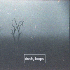 dusty.loops
