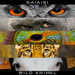 Lift Off (Let It Roll On)