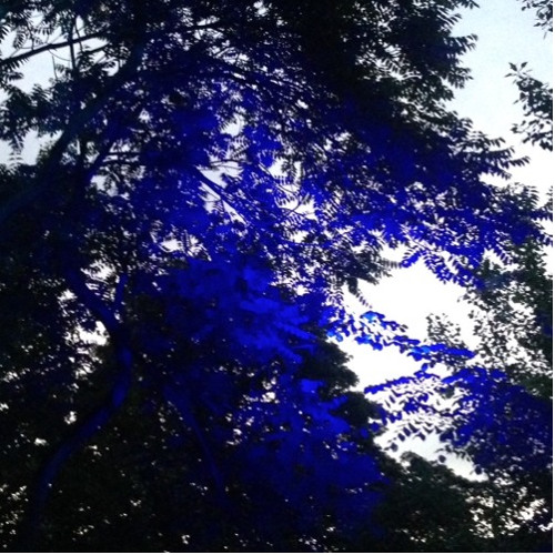 Mareena @ Zeroize | :// About Blank Garden | July 2013