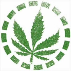 Raïa ft Mr critik- My Weed