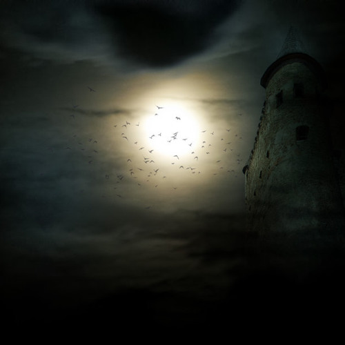 Chris Spheeris - Always