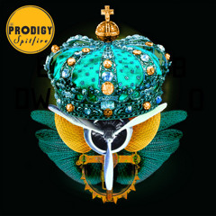 The Prodigy - SpitFire (K12 Remix) 2010