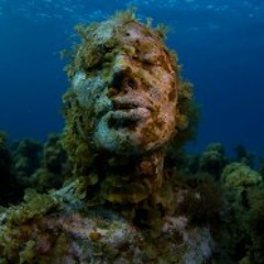 The Reef