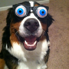 L333BAA - MD-AMAZING