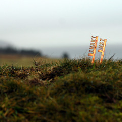 Joan of Arc :: Binary Dust