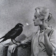 S.Housner@LosingControl