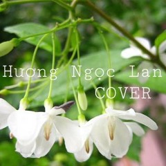 Hương Ngọc Lan ( Mỹ Linh ) cover by Đăng Quân