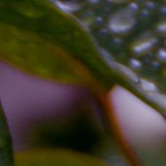 Let Me Kiss Your Tears #2
