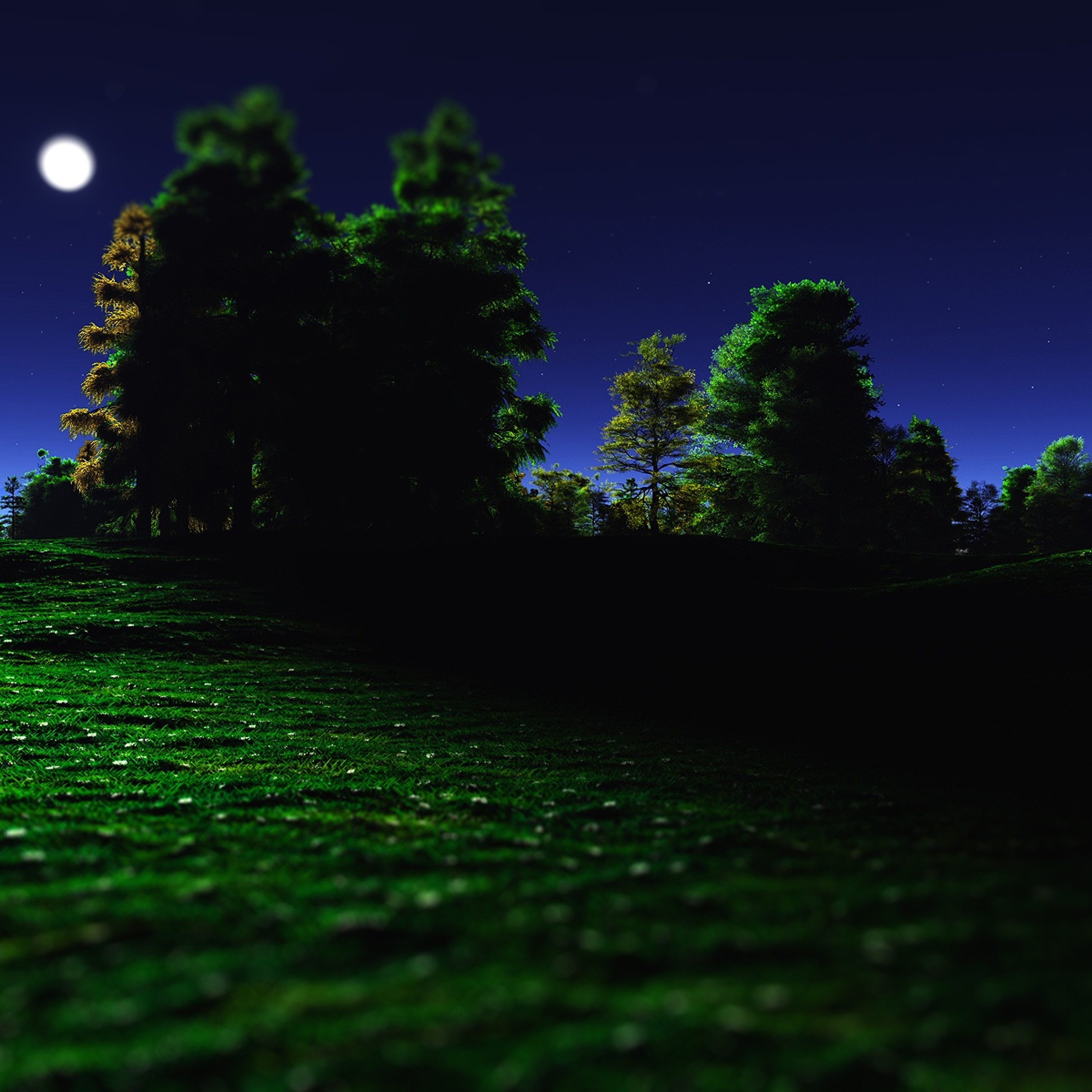 Starlite Meadow episode artwork