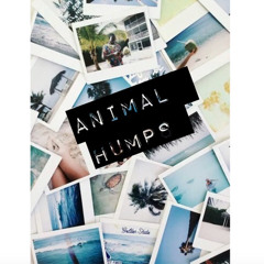 My Humps/Animals (Cover)
