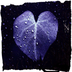 A Caped Crusader's Lethal Twerking Powers Revealed!