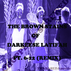 The Brown Stains Of Darkeese Latifah Pt. 6-12 (Remix) Feat. ScHoolboy Q - Tyler, The Creator