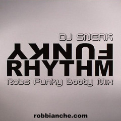 Funky Rhythm (Robs Funky Booty Mix) Download also Includes .stem.mp4 Format