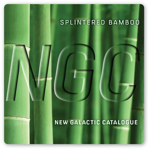 Stream Splintered Bamboo (With YouTube film) by New Galactic Catalogue