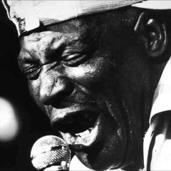 Howlin' Wolf meets Wilfred Skimbleshanks - Smokestack Lightnin' (Beat Diplomacy Remix)