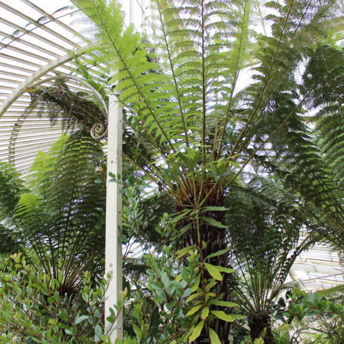 At the Botanic Gardens