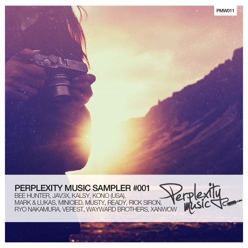 Perplexity Music Sampler #001 - Mixed by Bee Hunter [Free Download]