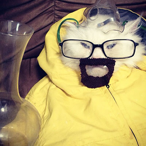 Sicker Sounds than the Black Plague