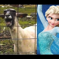 Let It Goat - Frozen Edit