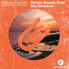 Tommy Baynen - Purple Sunset Over The Meadow (Original Mix)