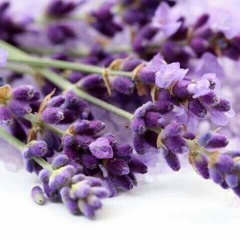 أغنية مسلسل العراب غناء عاصي الحلاني  __ دقة عالية - Hi-Q audio.m4a