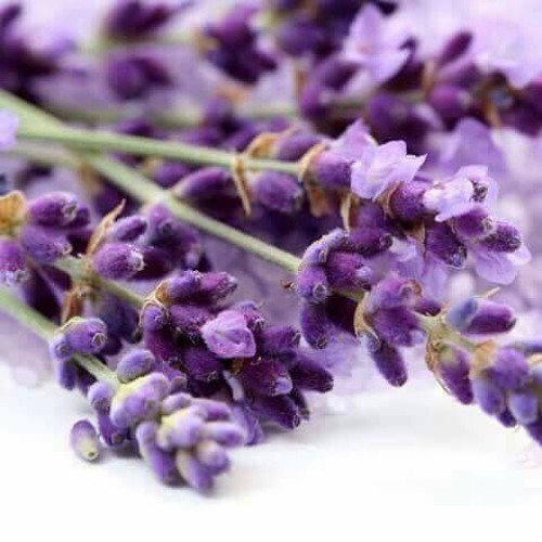 أغنية مسلسل العراب غناء عاصي الحلاني  __ دقة عالية - Hi-Q audio.m4a