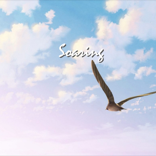Soaring