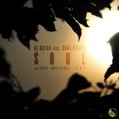 Dj Artak  Feat. Sone Silver  - Soul (Incl. Tony Smileeque & S.A.T Remixes)