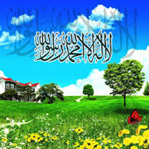 Drood - O-Salam
