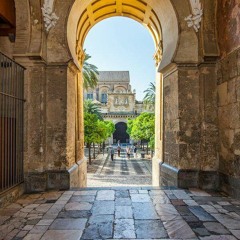 تسجيل -مسجد أبو خضرة-غزة - المقرئ رائد أبوشعبان